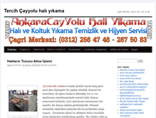 Tablet Screenshot of ankaracayyoluhaliyikama.net